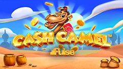 Cash Camel