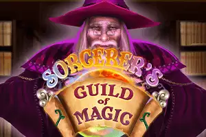 Sorcerer's Guild of Magic
